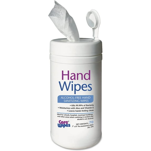 2XL Alcohol-Free Hand Sanitizing Wipes, 70 Individual Wipes, 7" x 8" Each