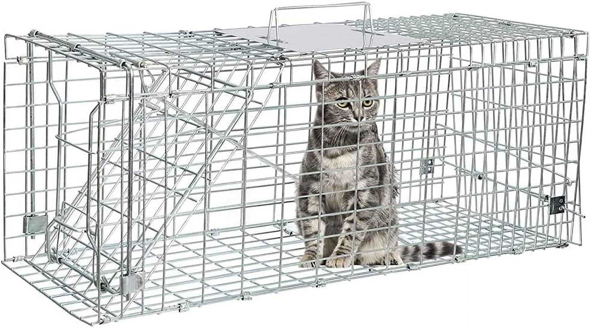 https://i5.walmartimages.com/seo/2Z-Live-Animal-Trap-24-x8-x7-Humane-Cat-Trap-Cage-for-Stray-Cats-Raccoon-Chipmunks-Opossum-Squirrel-Chicken-Mole-Gopher-Rabbits-Skunk-1-Pack_bc5f4453-e5ad-41a5-af9b-84d355076cb6.13e420f43f85639e0e92aed124f0782d.jpeg
