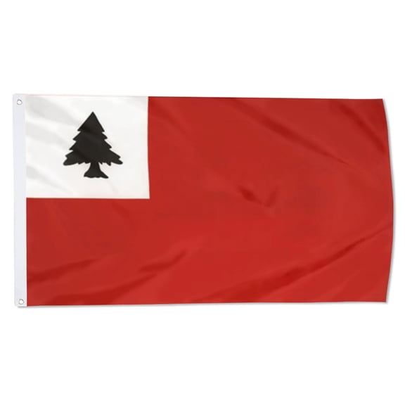 2but New England Continental American Flag Battle of Bunker Hill Flag Polyester 3x5 FT Indoor Outdoor Double Stitched Polyester with Brass Grommets