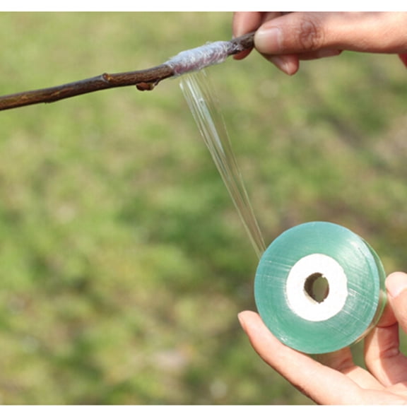 2cm*100m Grafting Tape Stretchable Self-adhesive For Garden Tree Seedling