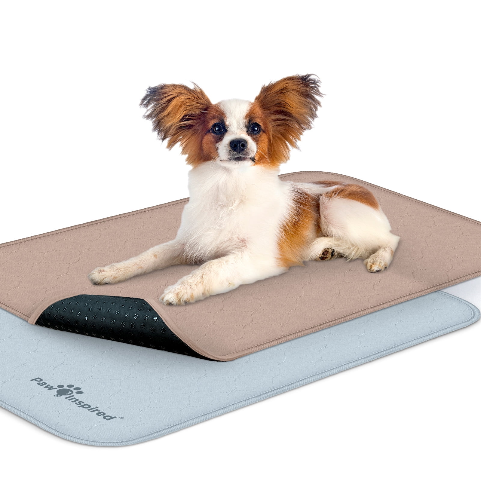 Incontinence mats hotsell for dogs