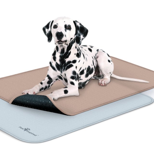 2ct Paw Inspired Washable Pee Pads for Dogs 41x28" Crate Series For