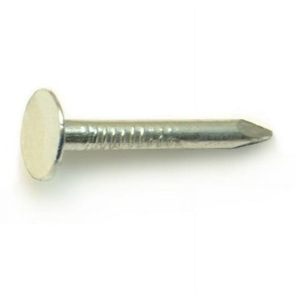 2d 1" Zinc Plated Steel Roofing Flat Head Nails (335 pcs.)