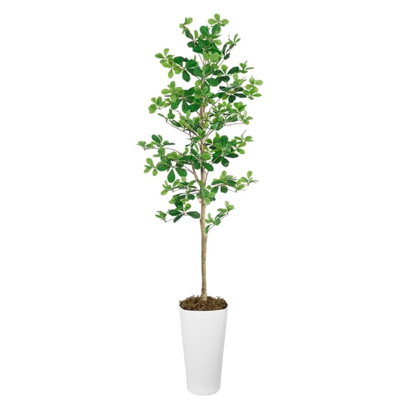 Olivivi 6ft Artificial Faux Olive Tree Outdoor (180 cm) with Square Round Weighted Planter - Fake Tree for Indoor/Outdoor Use, Faux Plants 1pc