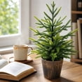 thumbnail image 1 of 2ft Potted Artificial Norfolk Pine Tree, UV Resistant Fake Cedar Plant with Weighted Base, Realistic Tabletop Christmas Decor for Home Office Patio Desk, 1 of 5
