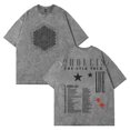 thumbnail image 1 of 2hollis The Star Tour 2025 Washed T-shirt Crewneck Short Sleeve Cotton Tee Women Men Streetwear Tops, 1 of 2