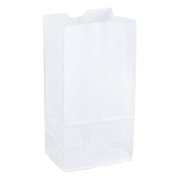 2lb White Kraft Paper Bags- Pack of 100ct