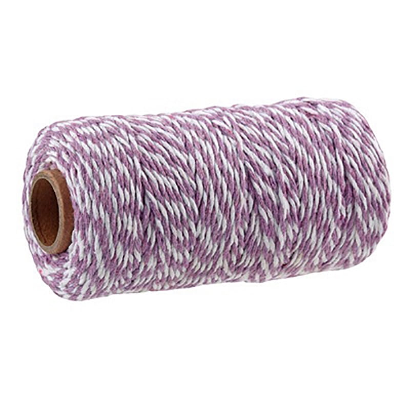 meat tied with string