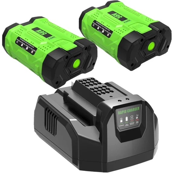 2pack Replacement for EGO 56V Battery and Charger BA2800 BA2800T BA1400 BA1400T BA4200 BA4200T