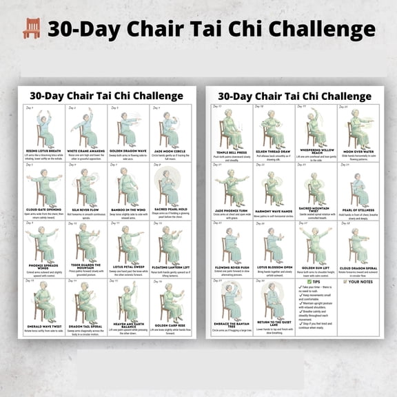 2pc Chair Practice 30 Day Tai Chi Challenge Poster, Beginner Sitting Exercise Plan Poster, Daily Balance Plan Poster At Home