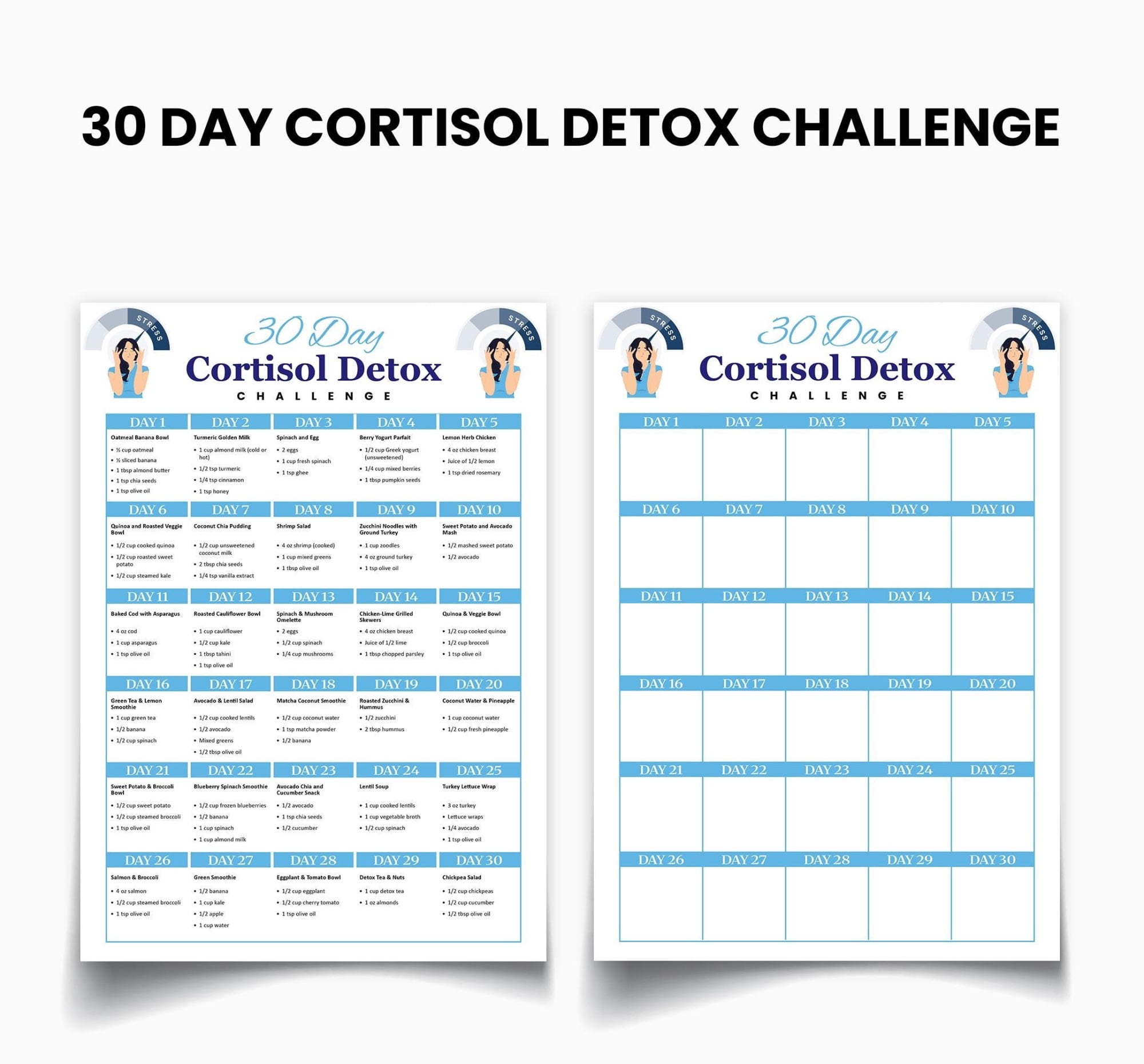2pc Cortisol Detoxification Challenge Poster Detoxification Recipe ...
