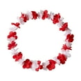 2pc European Football Party Decorations Fan Gear Garland National Flag 2pc-european-football-party-decorations-fan-gear-garland-national-flag