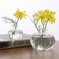 thumbnail image 1 of 2pc Hydroponic Transparent Vase Frame Coffee Shop Room Decor, Usupdd 2025 2pc Hydroponic Transparent Vase Frame, 1 of 7