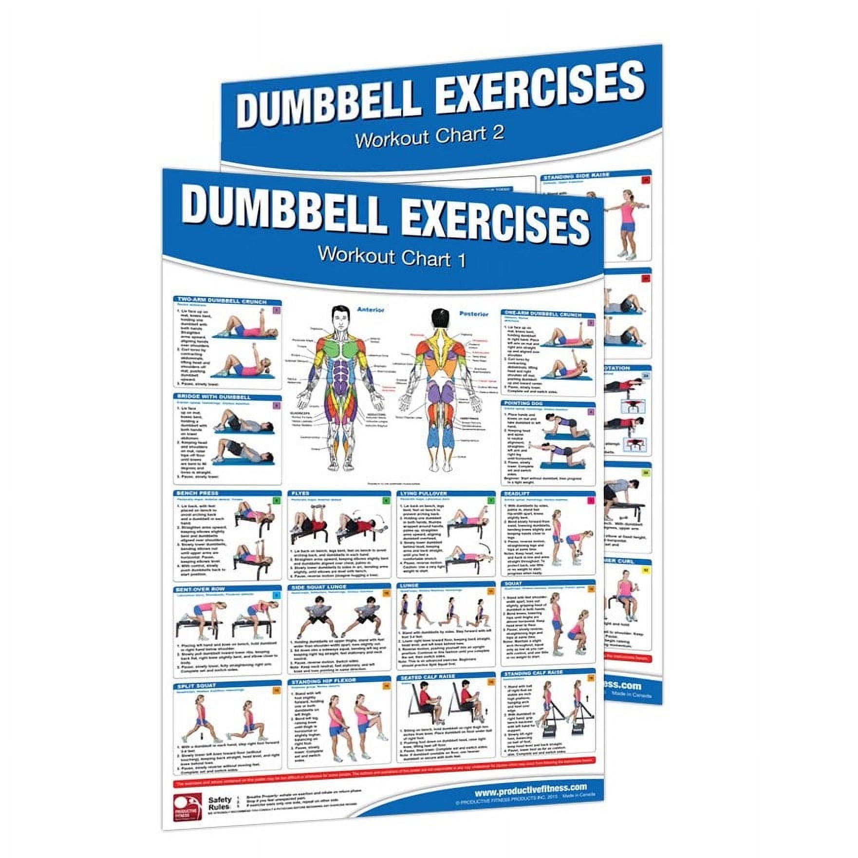 Dumbbell exercises chart sale