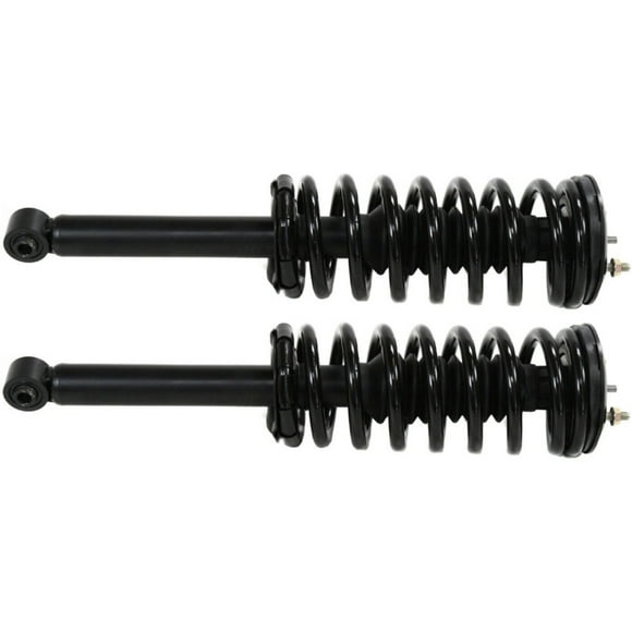 2pc Rear Loaded Strut Assembly For 1995-1999 Nissan Maxima Sedan