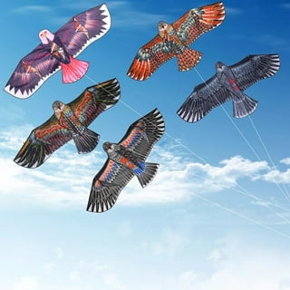Bird Kites Flapping Wings