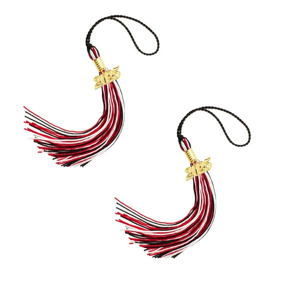 2pcs 2025 Graduation Tassel Academic Graduation Cap Tassels Multi-Color 2025 Tassel With 2025 Year Date For Graduation Students Grad Cap Decorations Graduate Gifts