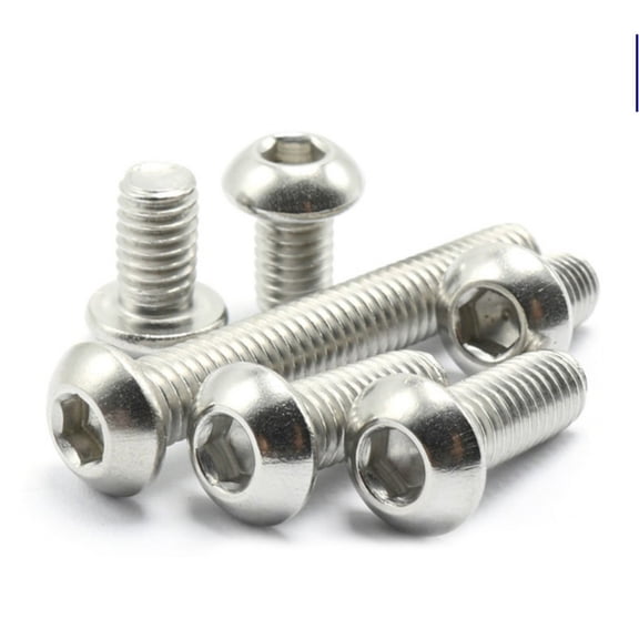 (2pcs) 316 Stainless Steel Half Round Head Hexagon Socket Head Screw M5x70mm (length not including head).