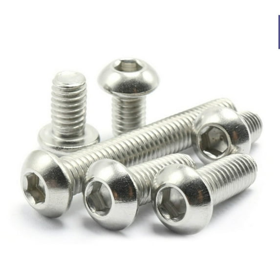 (2pcs) 316 Stainless Steel Half Round Head Hexagon Socket Head Screw M5x8mm (length not including head).