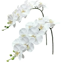 2pcs Artificial Orchid Stems Flowers Real Touch Faux Phalaenopsis Branches 8 Large Blooms, 29 Inches
