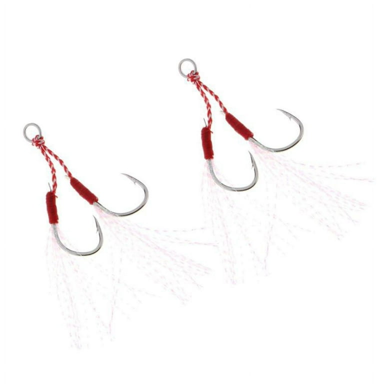 2pcs Assist Jig Fishing Hooks, Stainless Steel Live Bait Fishing Hooks with  Strong PE Braid Line - 16 