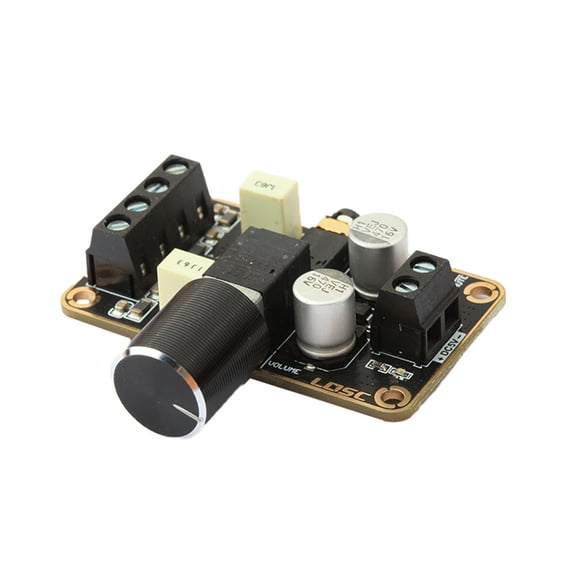 2pcs Board Pam8406 5W+5W Mini Class D Digital Amps DC 5V Module for DIY Speaker Projects