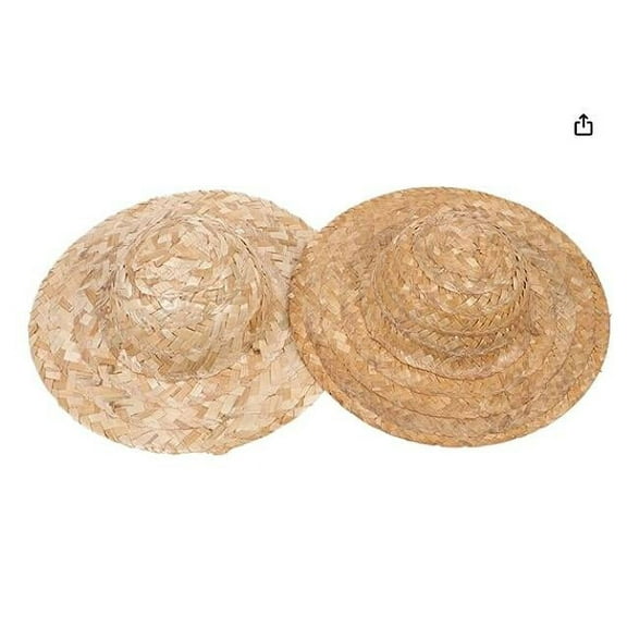 2pcs Braided Straw Hats Hand Woven Straw Hat Tiny Sombrero Hats Small Pet Straw Hat