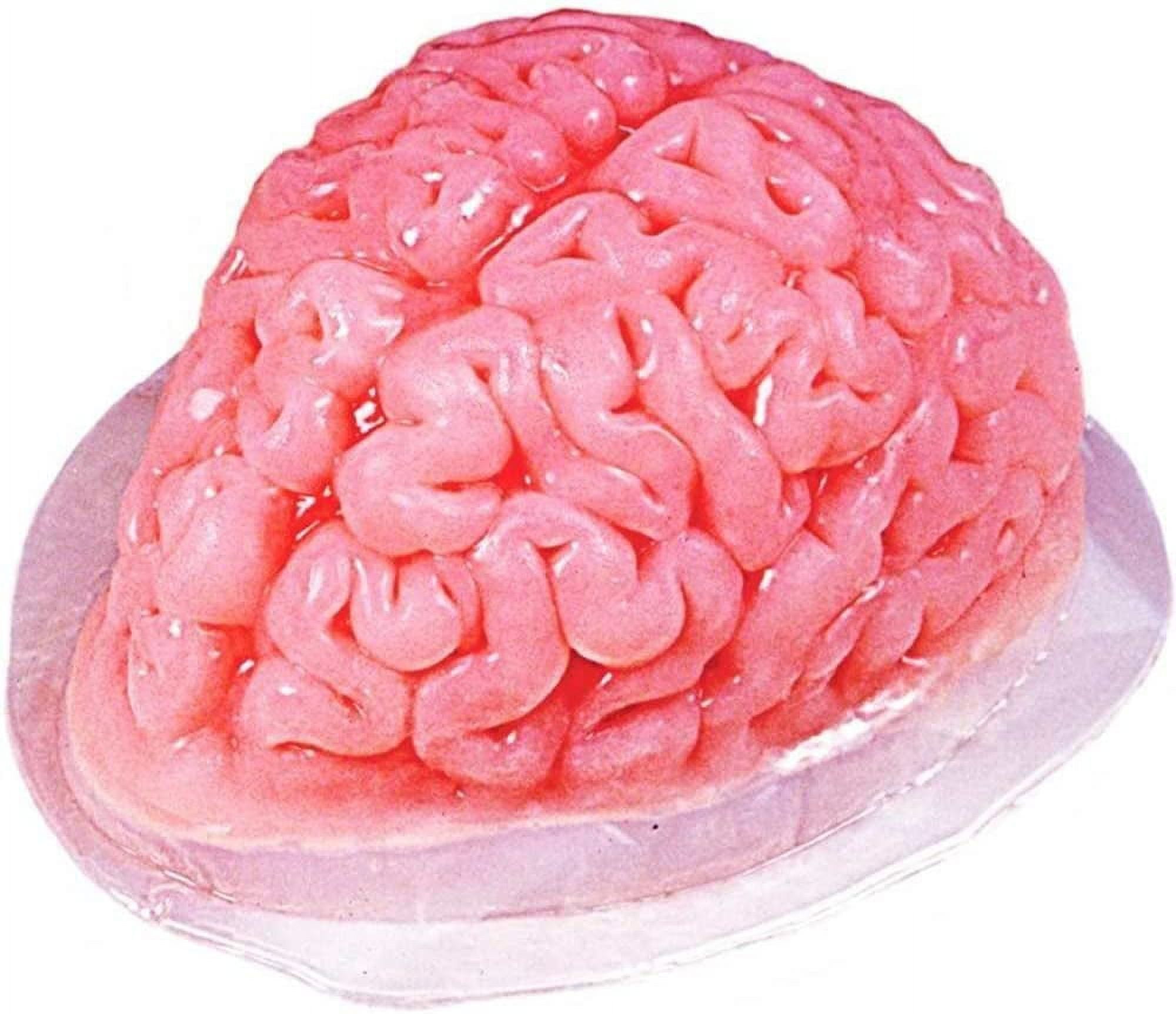 2pcs Brain Gelatin Mold Plastic Jello Molds Baking Decorations
