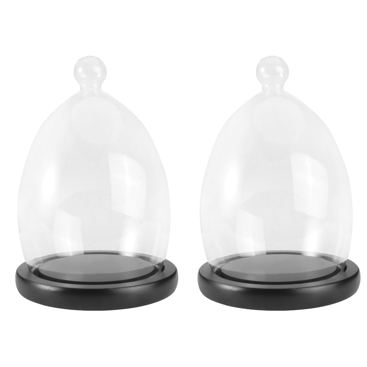 2pcs Decorative Clear Glass Cloche Bell Jar Display Case with Rustic