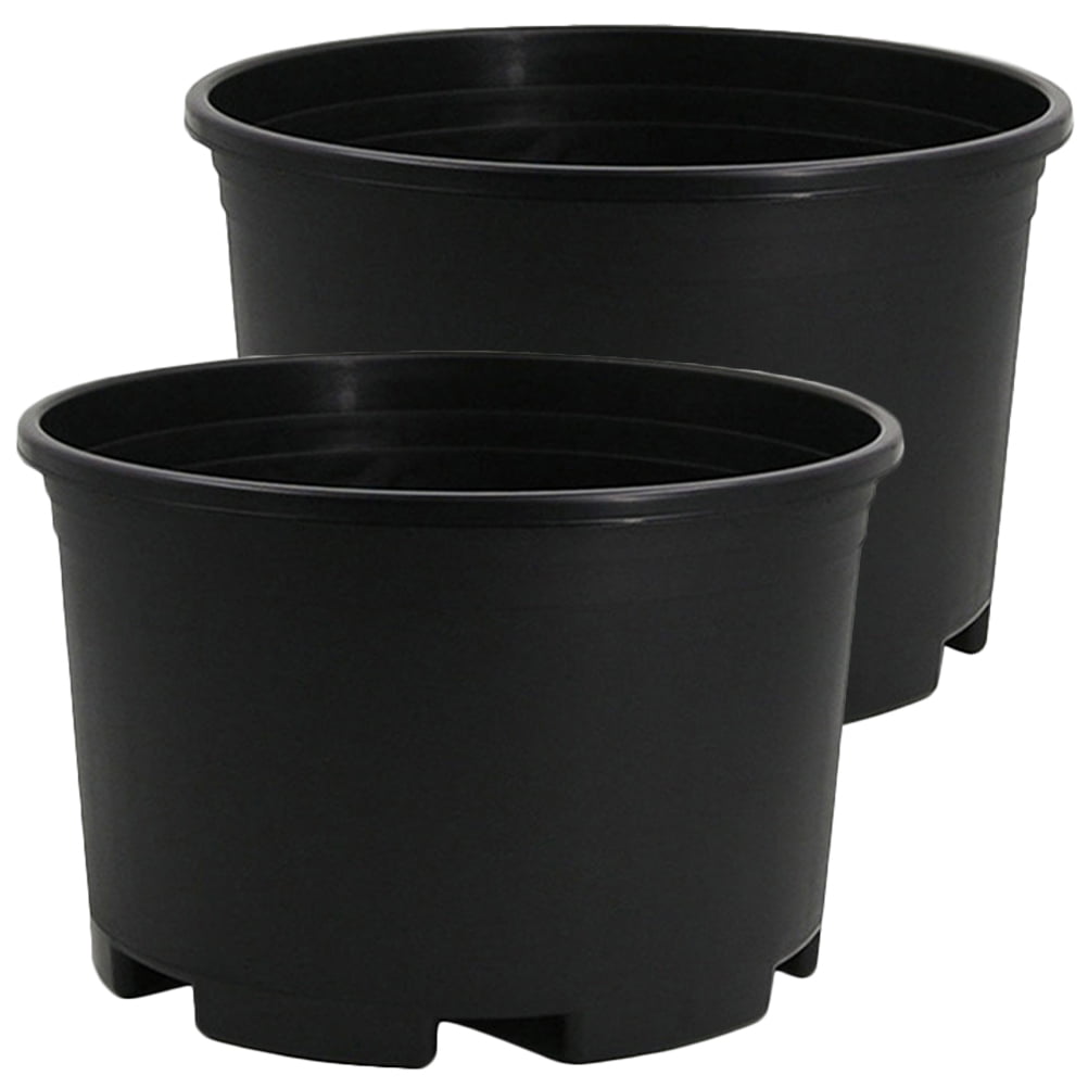 pink planter pot Shop Pink Polka Dot Plant With Care Guide main image 0