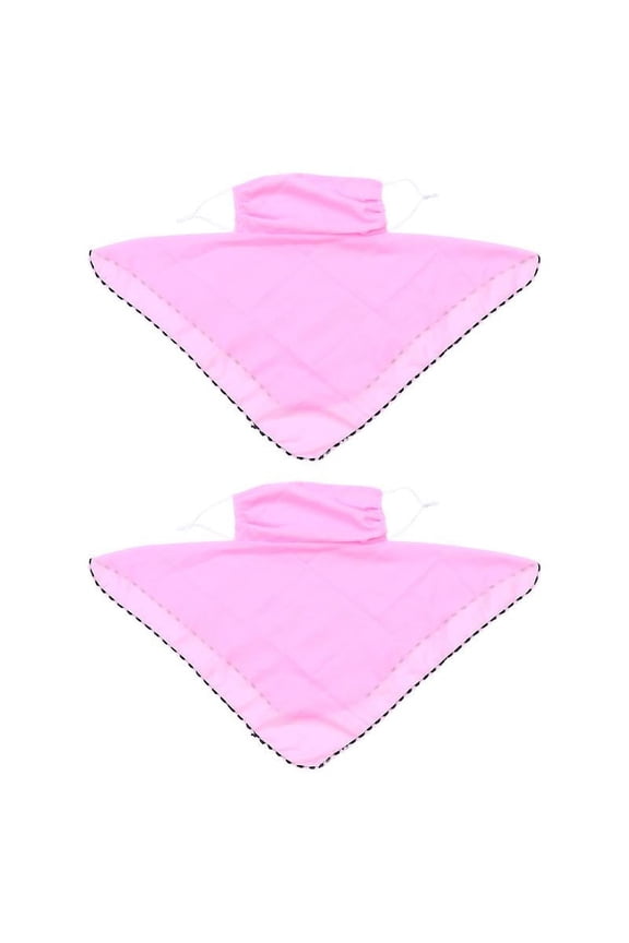 2pcs Face Shield
