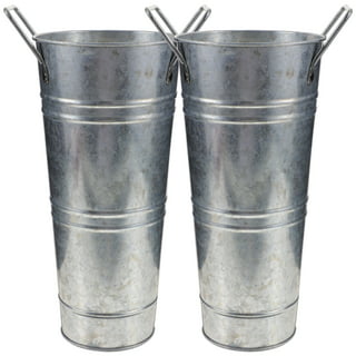https://i5.walmartimages.com/seo/2pcs-Flower-Buckets-Bulk-Galvanized-Metal-Vase-Bucket-with-Handles-Metal-Planter_a7043d91-c5d1-4390-b12a-c5c377d6a2f0.b2685c9722fcd54624391326b429dce1.jpeg?odnHeight=320&odnWidth=320&odnBg=FFFFFF