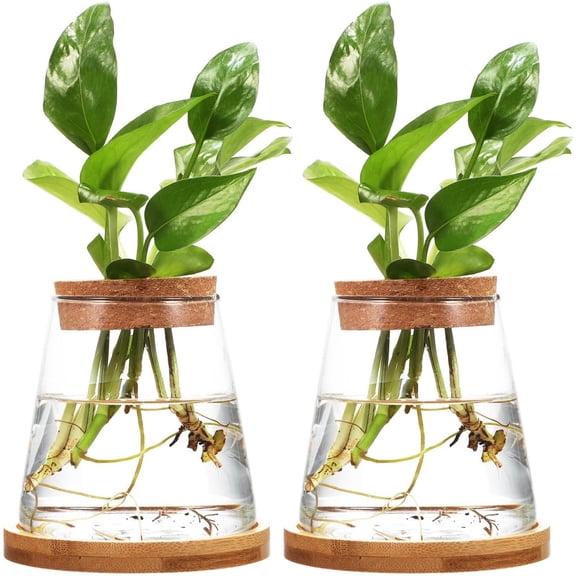 2pcs Glass Plant Propagation Station with Wooden Base Hydroponic Plants Vase for Indoor Decor Glass Terrarium Vase Jars Home Kitchen Decorations and Gifts for Planter Lovers