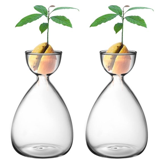 2pcs Glass Seed Starter Vase, Plant Growing Pot Kit with Stickers, Seed Planter Container for Home Garden, Desk Decor, DIY Tree Growth Observation