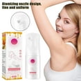 2pcs Hair Removal Spray Moisturizing Foam For Armpit And Leg Hair