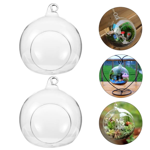 2pcs Household Decorative Globe Terrarium Succulent Hanging Planter Clear Glass Terrarium With Hook