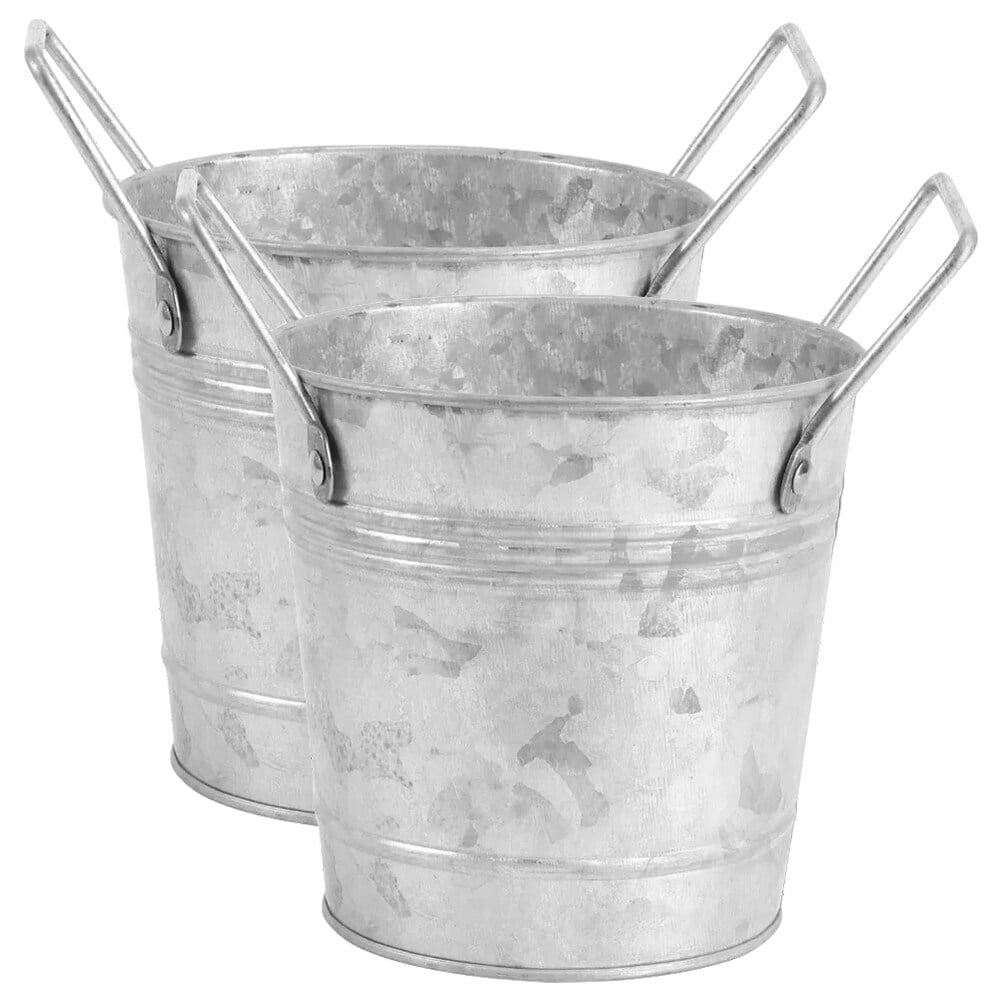 2pcs Iron Flower Bucket Vintage Handle Plant Planter Flowerpot Vase
