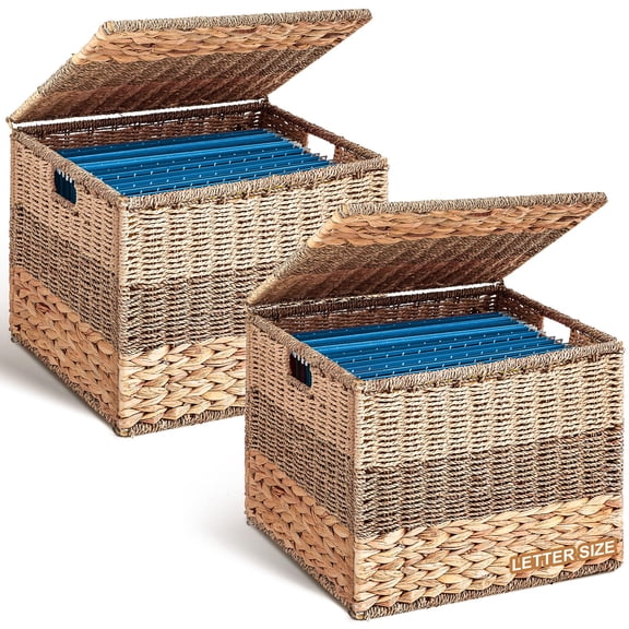 2pcs Large Decorative File Box 18 x 15 x 14 in Seagrass Hanging Organizer for Letter & Legal Size File Basket Hand Woven Filing Cabinet with Lid Collapsible Box for Home Office Decor, Water Hyacinth