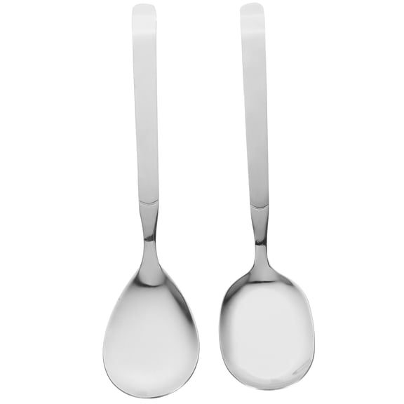 HEATSHAKING Serving Spoons for Buffet Simple and Elegant Self-Service Restaurant 2Pcs 10.8X2.3X0.2In