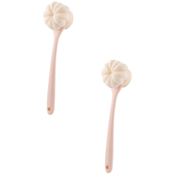 2pcs Long Handled Shower Brush for Cleaning Body,Double-Sided Bath Brush for Massage with Loofah,Body Brush Exfoliator Mesh Sponge for Women and Men