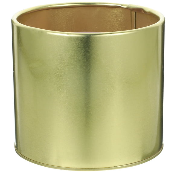 2pcs Metal Bucket Planter Small Pots Desk Decorative Round Flower Pot for Home Office