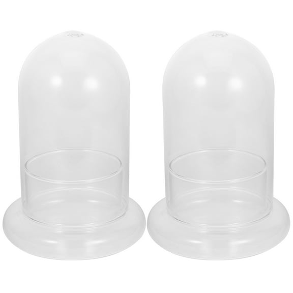 GAXIRE 2-Pack Glass Terrarium Container High Borosilicate Glass 6.7 x 4.7 x 4. Plants and Decor