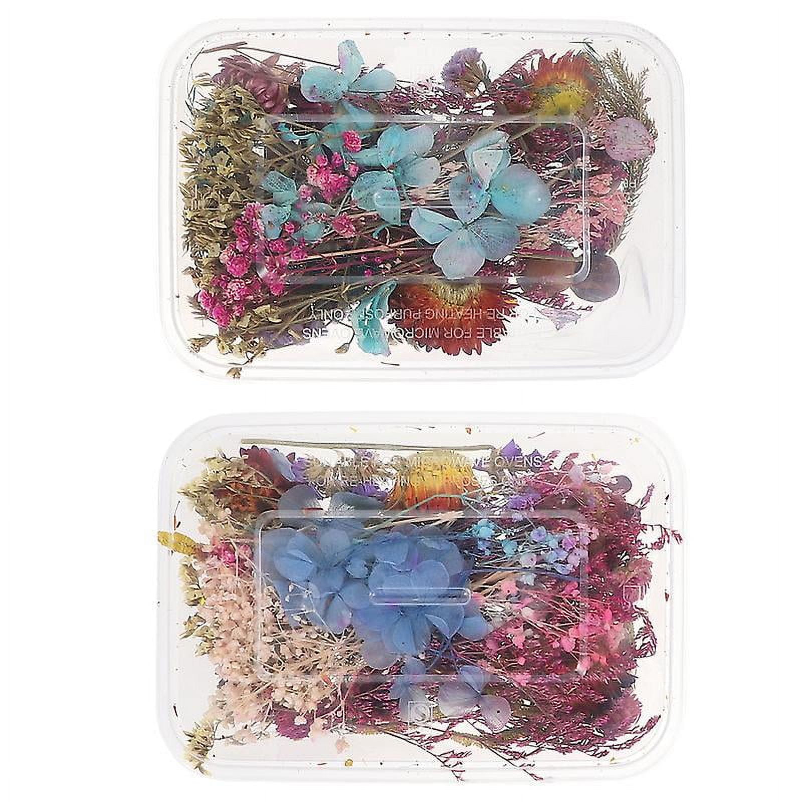 2pcs Mini Dried Flower