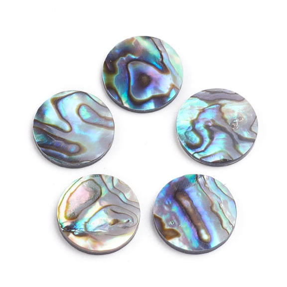 2pcs Natural Abalone Shell/Paua Shell Cabochons Flat Round 15x2mm for DIY