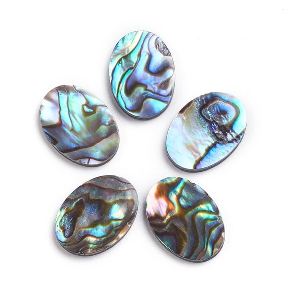 2pcs Natural Abalone Shell/Paua Shell Cabochons Oval 18x13x2mm