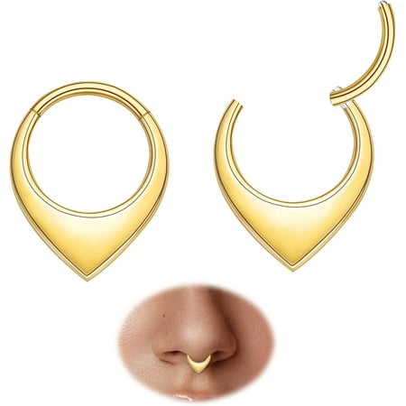 2pcs Nose Rings Hoops Women-G23 Titanium 316L Surgical Steel Segment Nose Rings sets,Helix Piercing Jewelry16G 8mm 10mm Teardrop Cartilage Clicker Earrings Rook,Daith,Tragus,Hypoallergenic[d445]