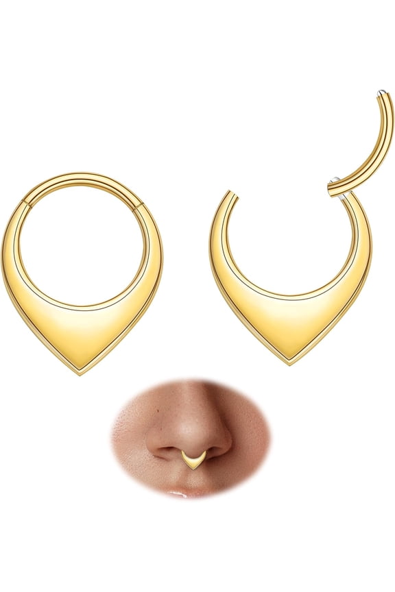 2pcs Nose Rings Hoops Women-G23 Titanium 316L Surgical Steel Segment Nose Rings sets,Helix Piercing Jewelry16G 8mm 10mm Teardrop Cartilage Clicker Earrings Rook,Daith,Tragus,Hypoallergenic[d445]