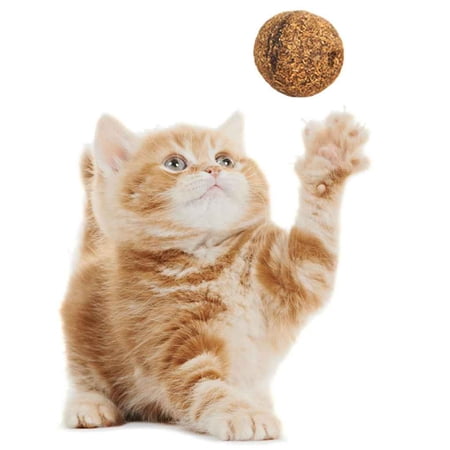 2pcs Pet Cat Natural Catnip Cantmint Chiscat Treat Ball Venonat Favor Home Chasing Toys