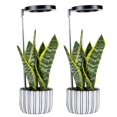thumbnail image 1 of 2pcs Plant Grow Light for Indoor Plants Full Spectrum Small LED Growing Lamp, full spectrum automatic light timer, 9 adjustable levels, 3 kinds of red, indoor plants, 1 of 6