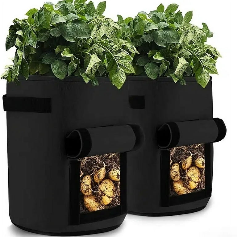 https://i5.walmartimages.com/seo/2pcs-Potato-Grow-Bags-4-7-10-Gallon-Inflatable-Waterproof-Fabric-Sweet-Potato-Planter-Window-Vegetable-Peanut-Grow-Box-Nursery-Garden-Bucket_8ee0ad25-1ca5-406b-b0d6-1e614ea01c31.e249a9a51573fbc590dbf299ff1d7e33.jpeg?odnHeight=768&odnWidth=768&odnBg=FFFFFF